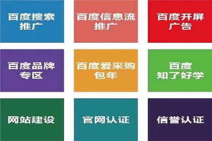 专业SEM代运营公司案例分析